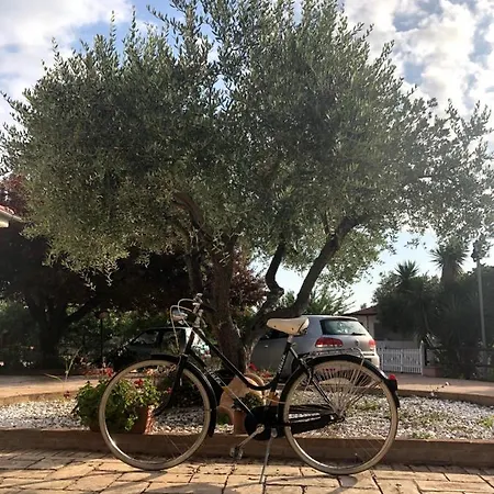 Eden 住宿加早餐酒店